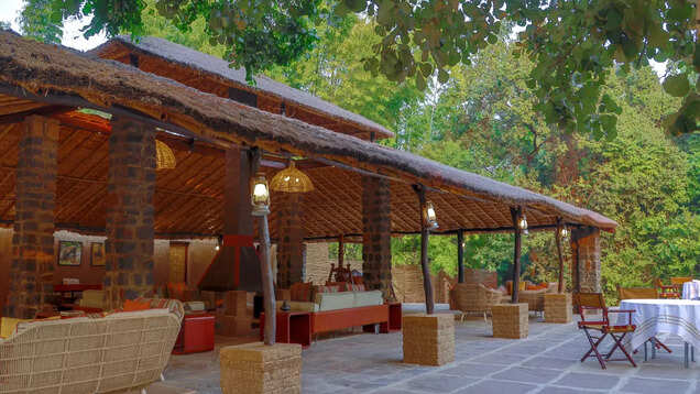 Call of the wild: 8 forest resorts in India for that unforgettable jungle experience