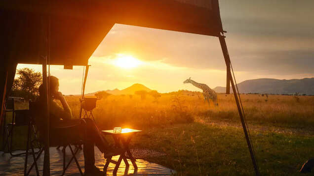 Call of the wild: 8 forest resorts in India for that unforgettable jungle experience