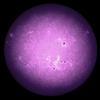Insights into solar dynamics
