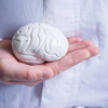 People will these personality traits will have great memory in old age