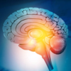 ​Omega-3 fatty acids​