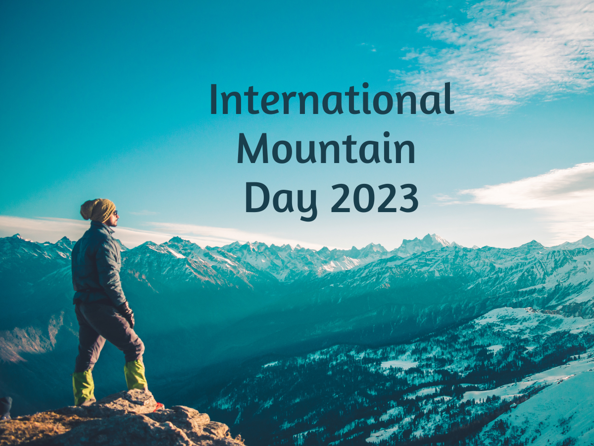 International Mountain Day 2023: World's top 5 highest mountains, World -  Times of India Travel