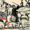 ​Can you find the sneaky cat?