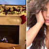 Article image for: Priyanka Chopra is Christmas-ready; actress gives a peak into festive preparations