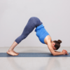 ​​Yoga to bolster immunity​