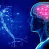  It improves cognitive functioning 