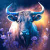 ​Taurus
