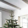 Article image for: Merry <i class="tbold">Christmas</i>