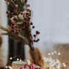 Article image for: <i class="tbold">Christmas</i> quotes