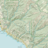 ​The California Condor