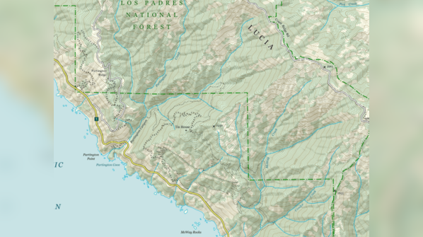 The California Condor