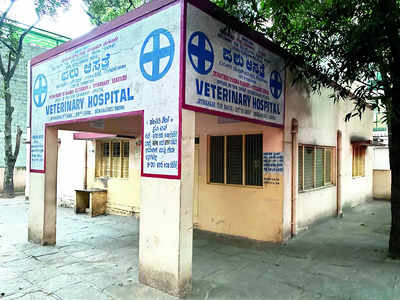 Near me hot sale veterinary hospital