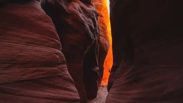 Discover the timeless beauty and splendour of Petra in Jordan