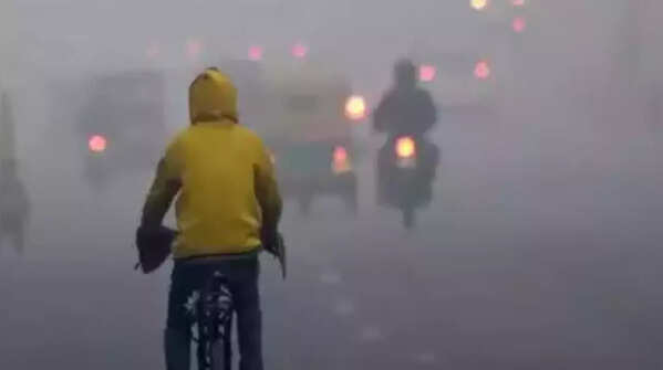 Delhi Cold Wave