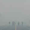 A Foggy Thursday Morning