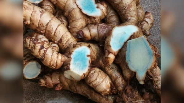 Power of black turmeric: A path to longevity and cancer prevention
