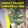 Article image for: Bengaluru dazzles with India’s tallest <i class="tbold">Christmas Tree</i> to celebrate Christmas, New Year