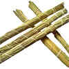 ​What is the Kusha plant?​