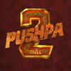 Article image for: '<i class="tbold">pushpa 2</i>: The Rule'