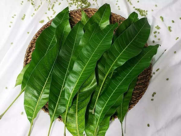 Murugan