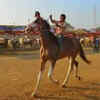 Students can learn horse-riding at the fair