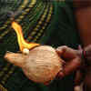 ​Coconut and Puranas​