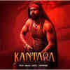 Article image for: ‘<i class="tbold">kantara</i>’