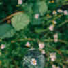 Article image for: Be present