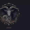 Capricorn