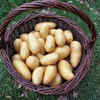 ​​Mindful portion control​