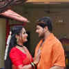 Article image for: <i class="tbold">patharamattu</i>