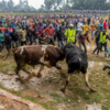 Article image for: <i class="tbold">tournament</i> marks beginning of every year