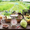 Article image for: Urban Farm Produce
