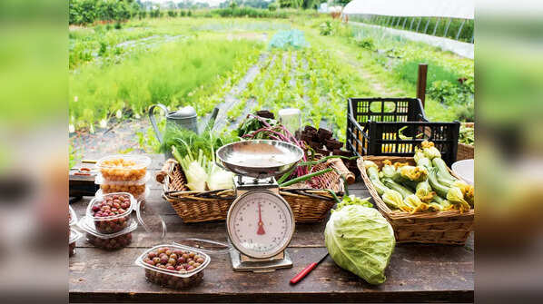 Urban Farm Produce
