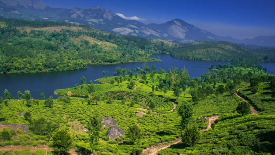 Best places in South India for the ideal winter getaway