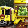 The whimsical Pikachu train