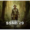 SSMB 29