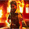 Article image for: '<i class="tbold">singham again</i>'