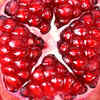 ​​Pomegranate​