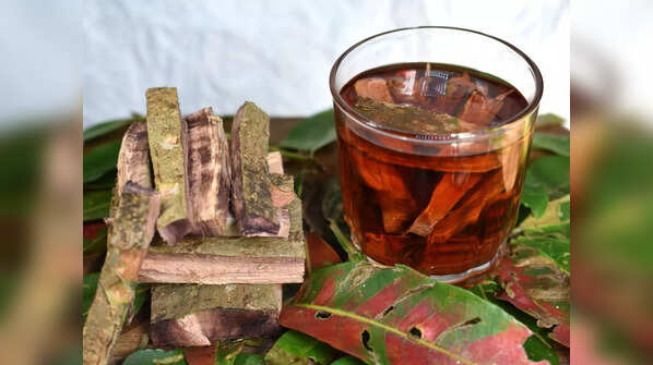 Arjuna Bark