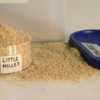 ​Little Millet (Samai)​