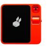 Rabbit R1