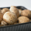 ​They help the body adapt to stressors​