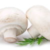 Mushrooms have anti-inflammatory effect on the body