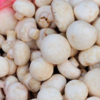 Due to its immunomodulatory properties
