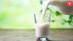 Watch: Why Goat Milk is good for human consumption