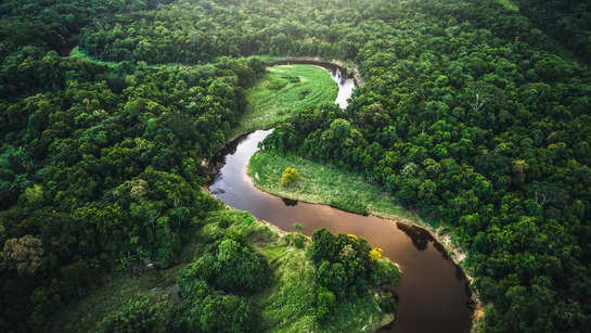 10 largest forests in the world   