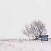 ​Arctic blast causes record-breaking cold weather 
