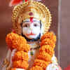 Worship him with devotion