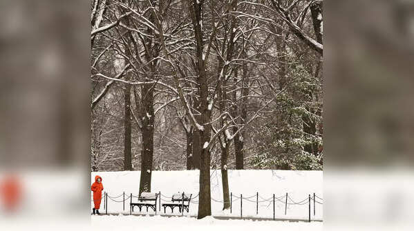 Schools and government offices are closed